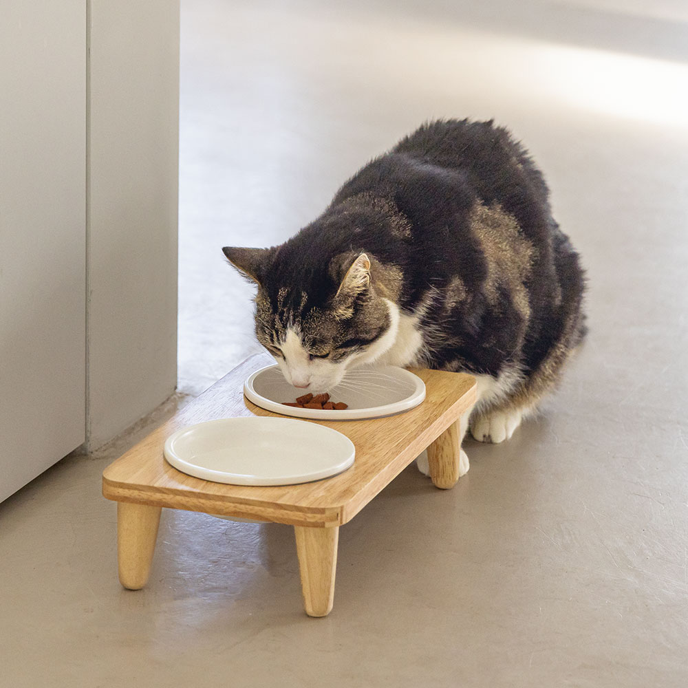 Designed by Lotte Dinnerset Djeha - klein 