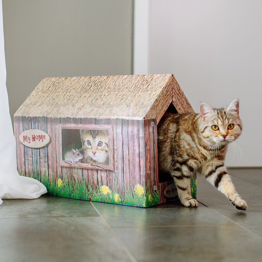 Nobby Katzenhaus aus Karton 