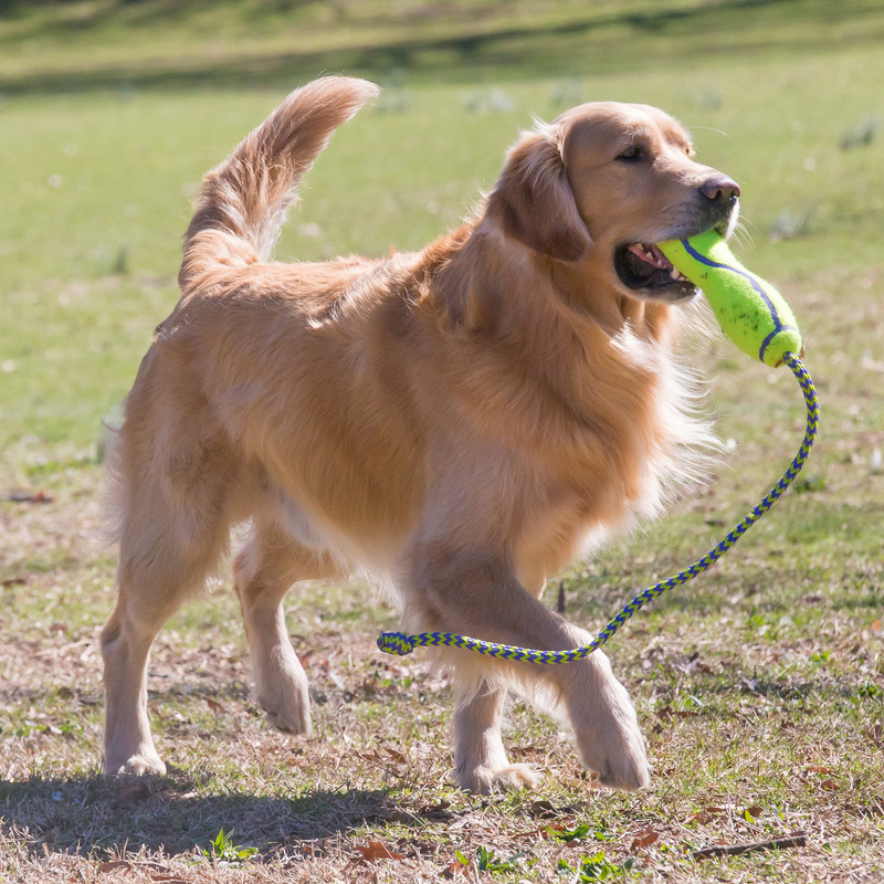 KONG Air Fetch Stick L mit Seil 