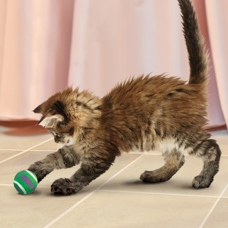 KONG Cat Tennis Balls 