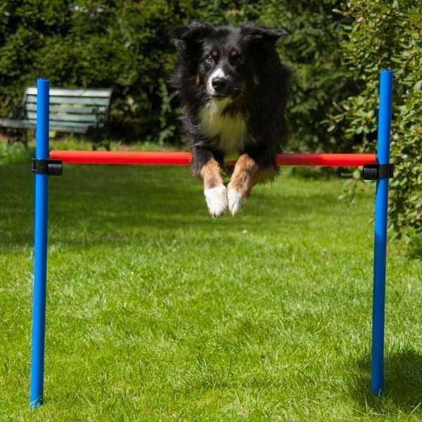 Dog Agility Set K2 PRO 