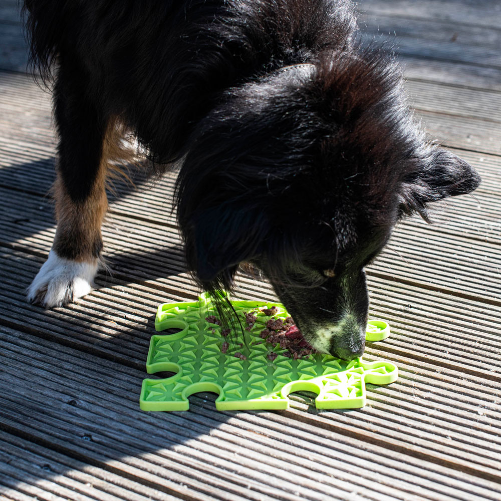 PROCYON Ladi Mat Schleckplatte Puzzle 
