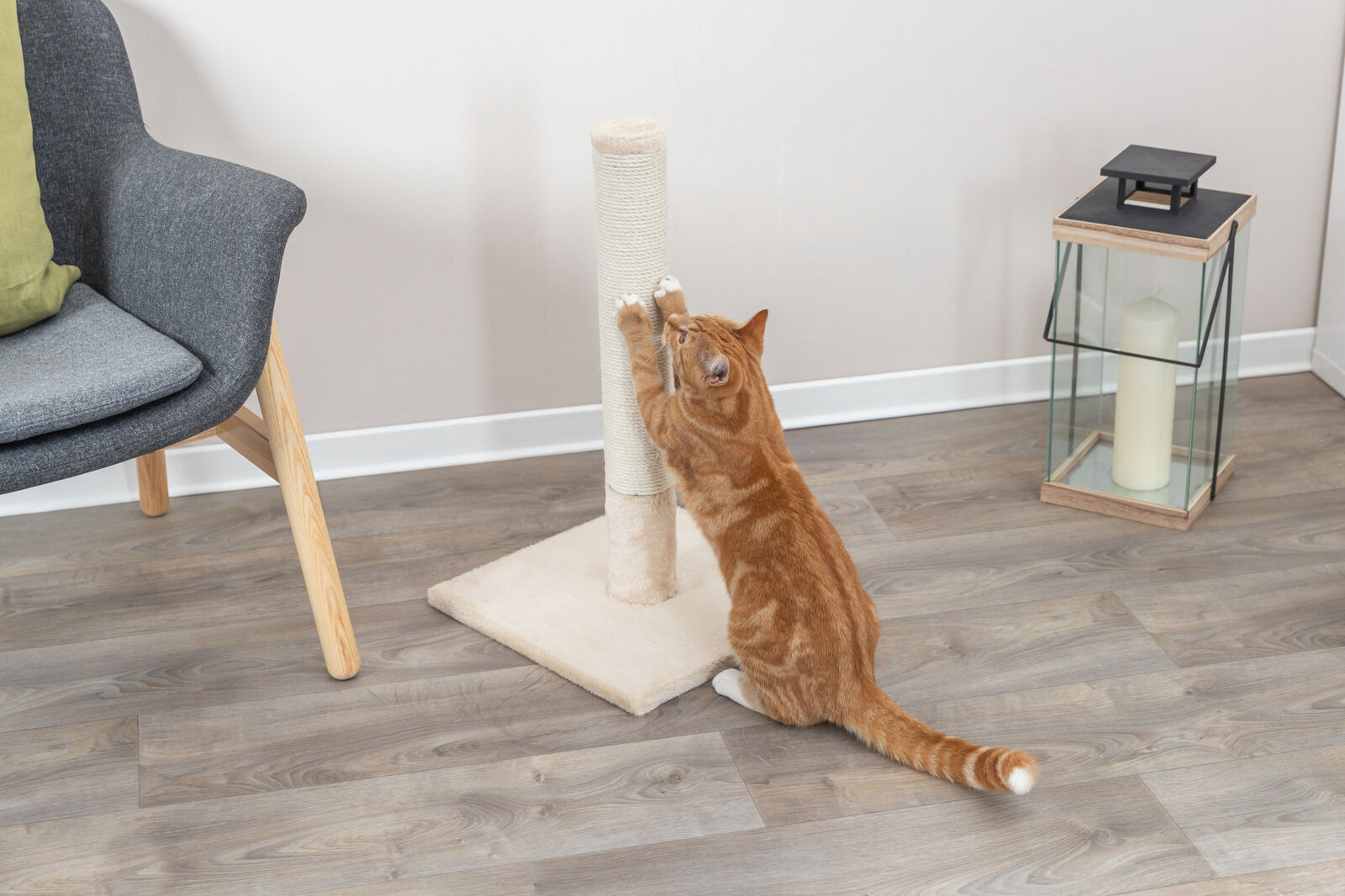 Trixie Kratzstamm Batres - Beige 