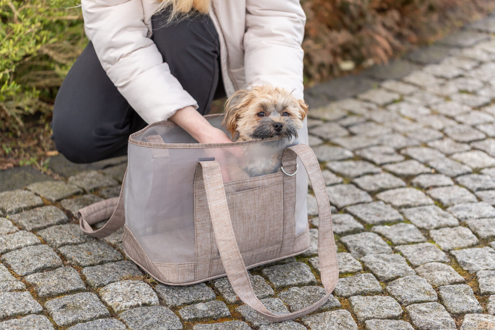 Trixie Tasche Mary 