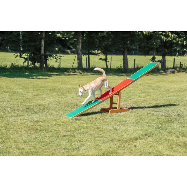 Trixie Agility Wippe 