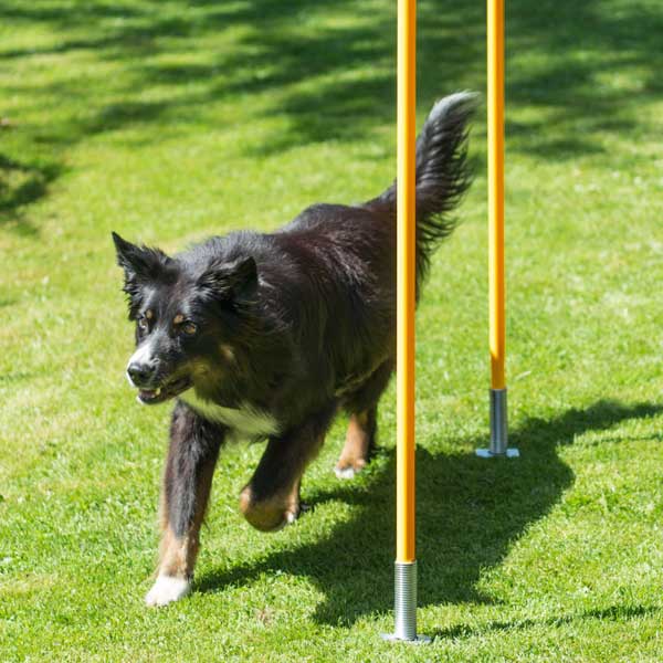 PROCYON Flexibler Erdnagel / Hering für Slalomstangen 