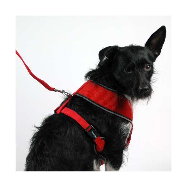 Pet-Star Softgeschirr / Netzgeschirr - Rot XL