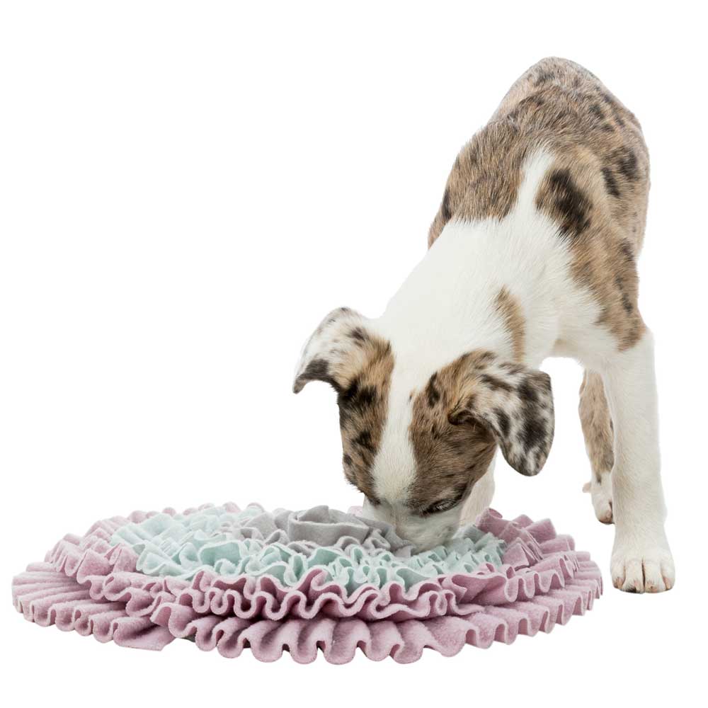 Trixie Junior Schnüffelteppich - 38 cm 