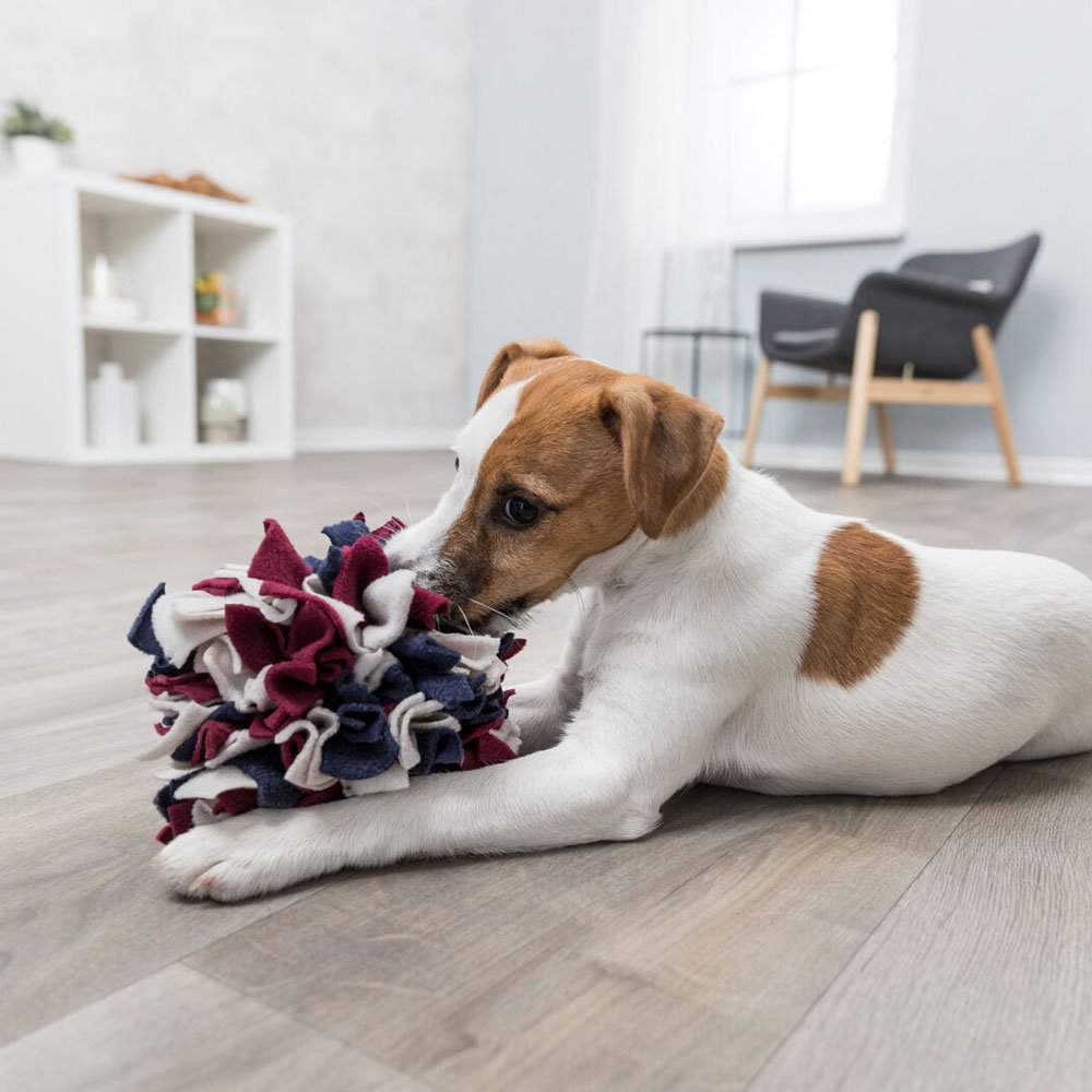Trixie Schnüffelball für Hunde 