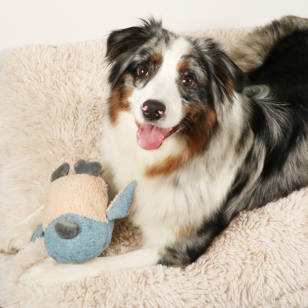 D&D Hundespielzeug Isla Chenille - blau 