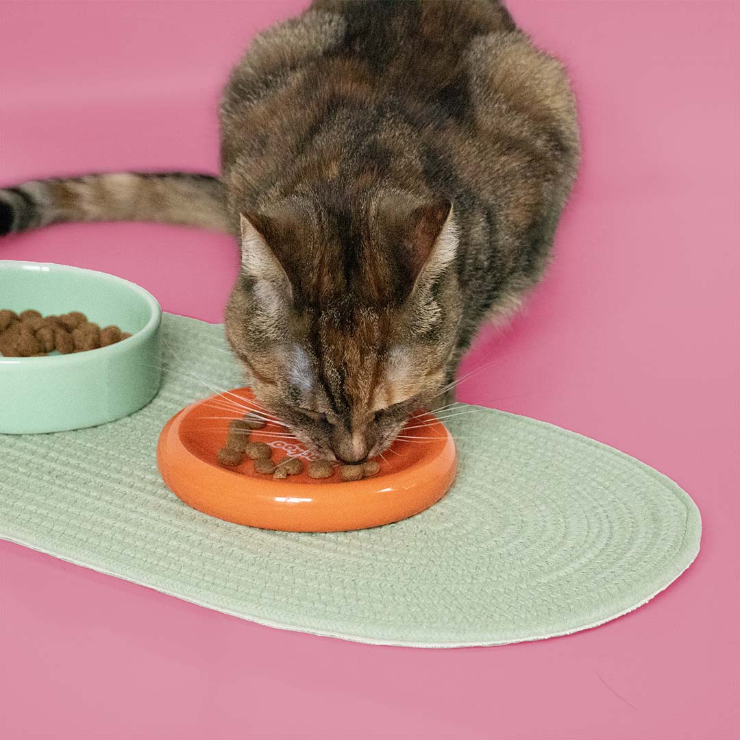 Coockoo Futternapf FUNKY FEEDING - grün/orange 