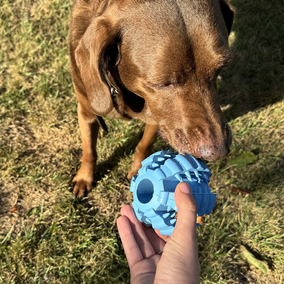 Duvoplus Ball Griplay Dental Rippe - Blau 