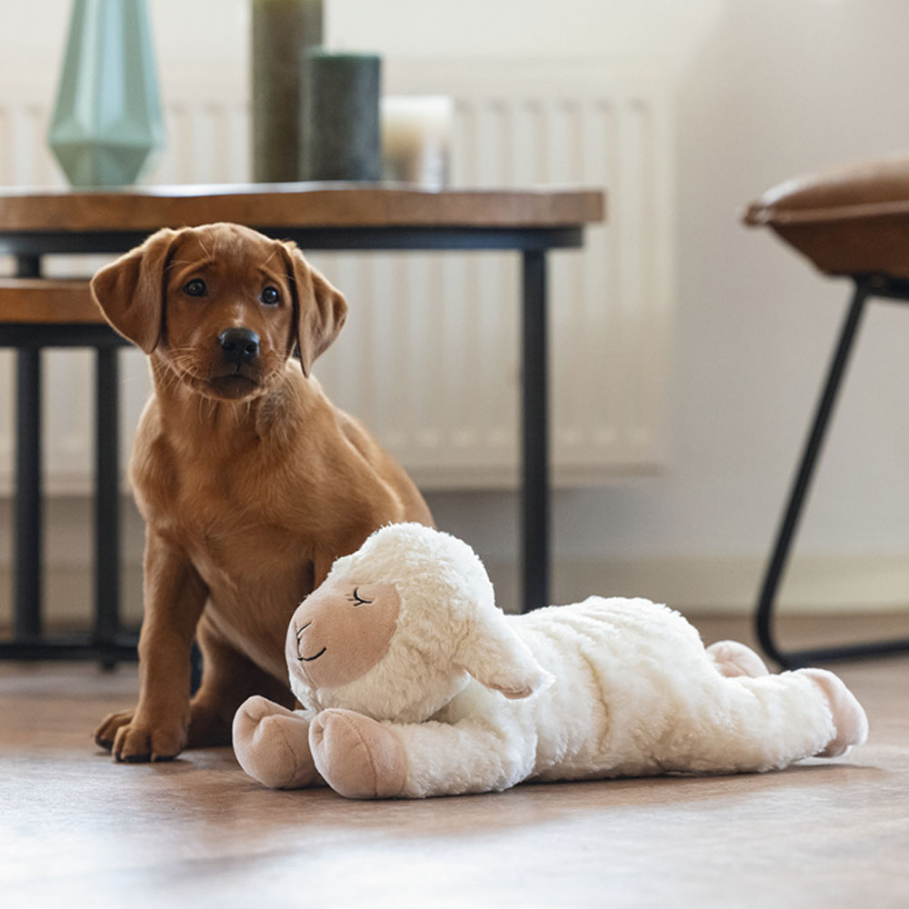 Beeztees Puppy Kuschelspielzeug Bowi 