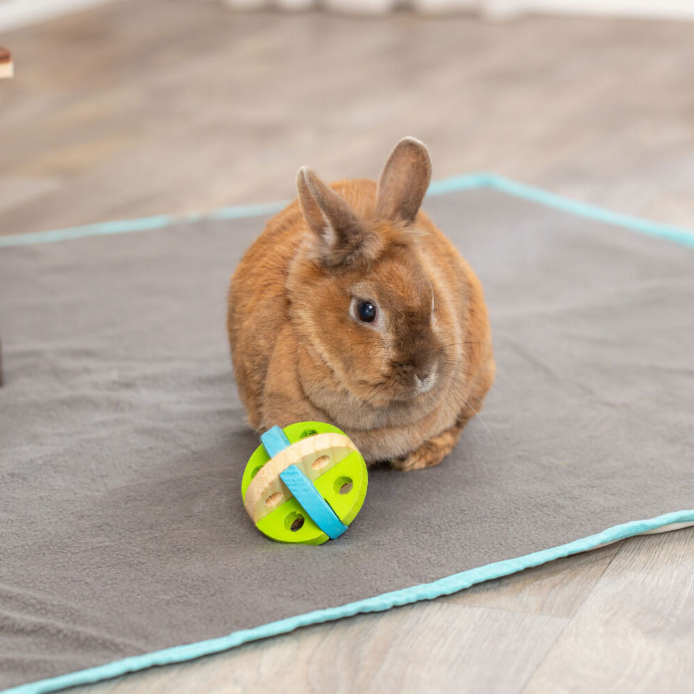 Trixie Spiel- und Snackball aus Holz - 7,5 cm 