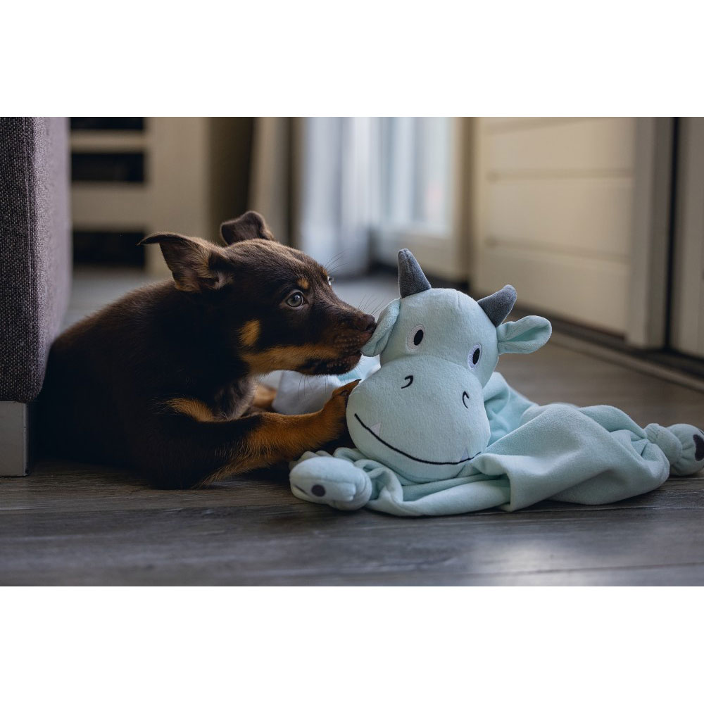 Beeztees Puppy Kuscheltuch Drache 46 x 40 x 7,5 cm