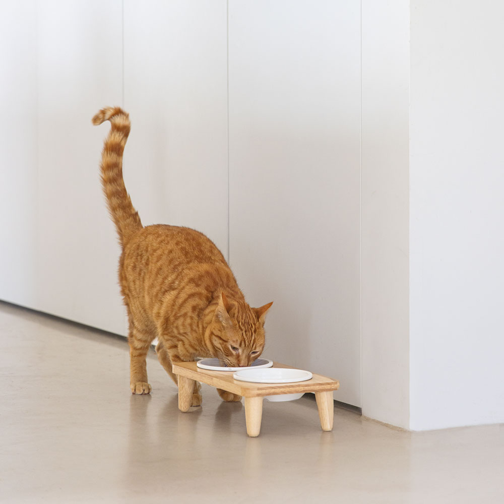 Designed by Lotte Dinnerset Djeha - klein 