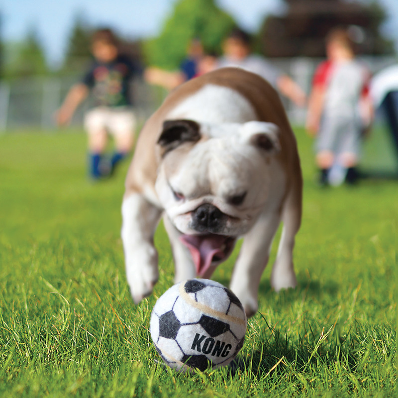 KONG Sport Balls Medium 