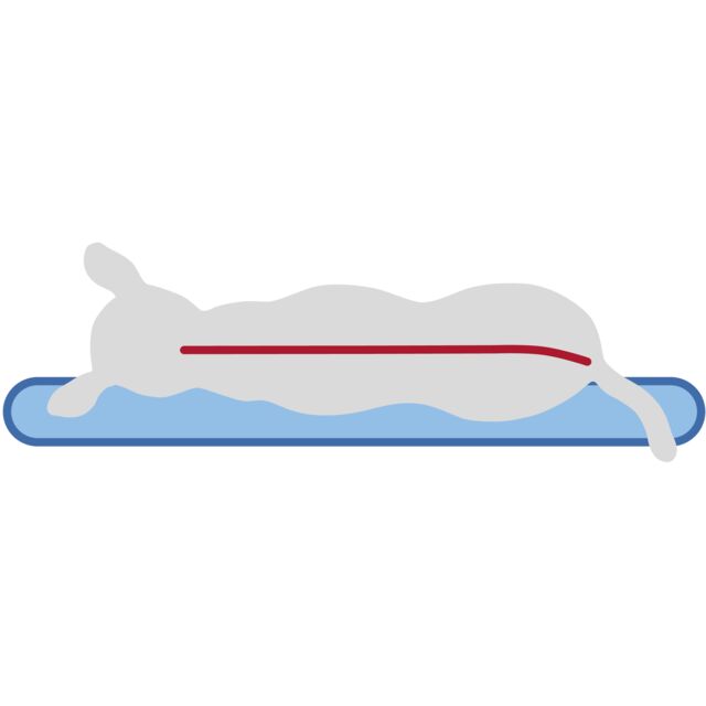 Trixie Vital Kissen Bendson - oval 100 × 70 cm