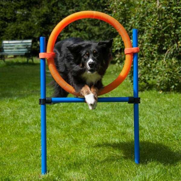 Dog Agility Set K2 PRO 