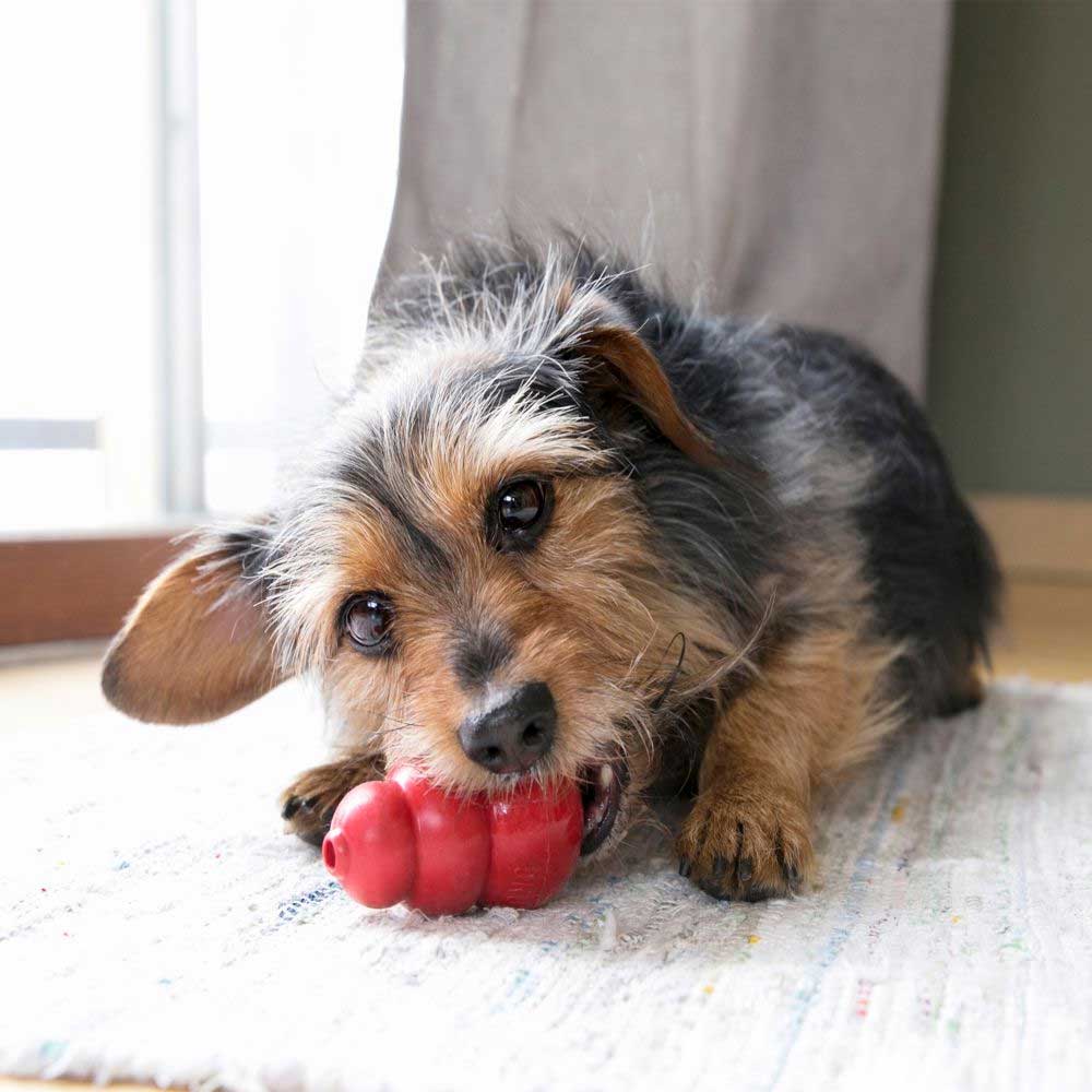 KONG Classic Small