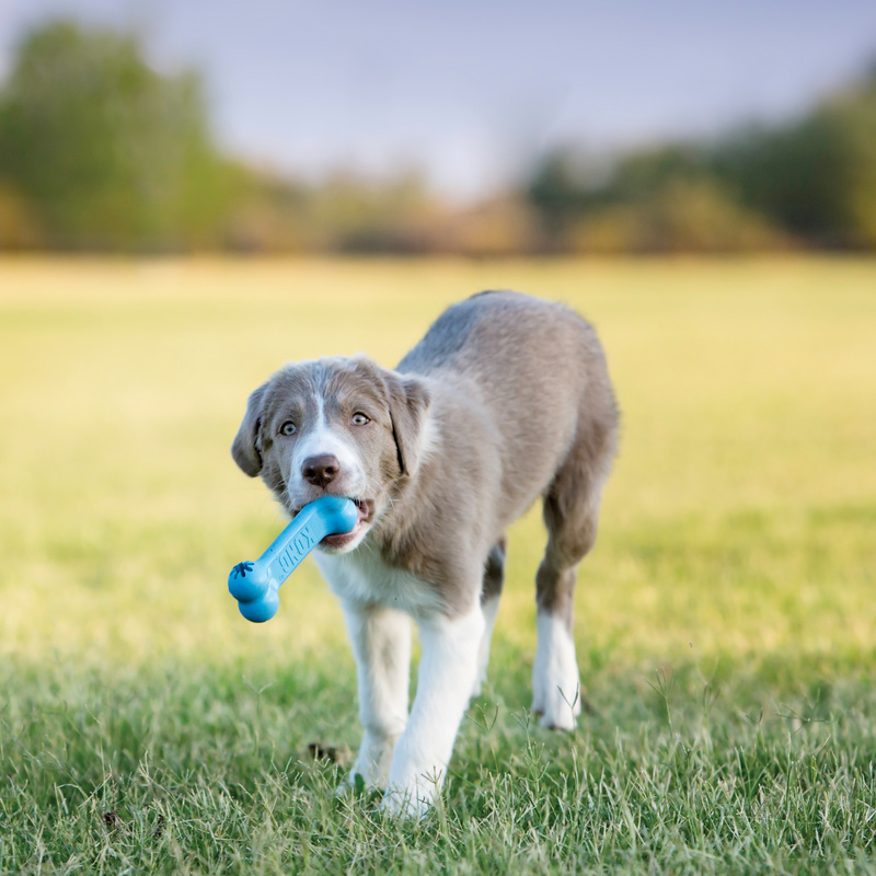 KONG Puppy Goodie Bone Small (bis 9kg) 
