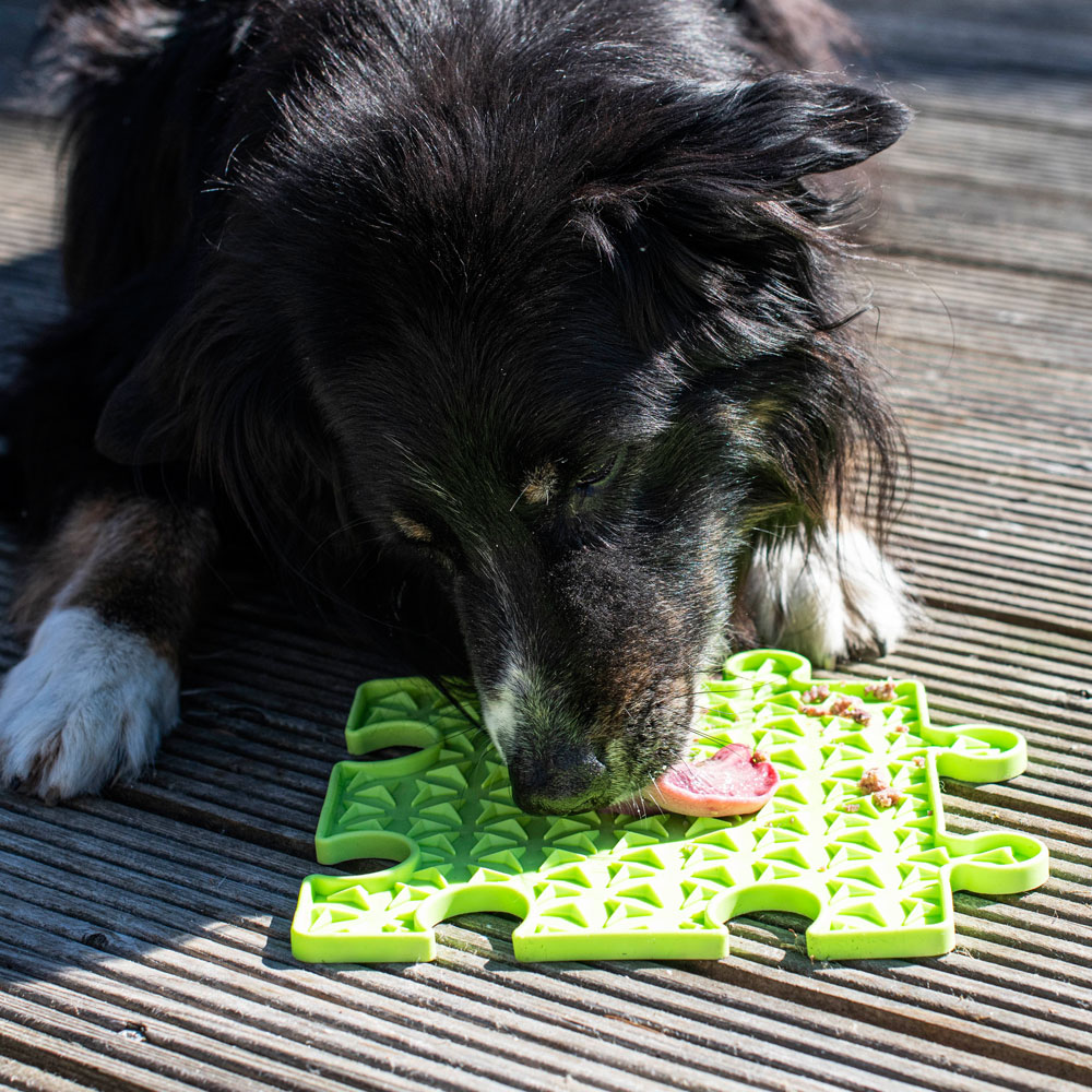 PROCYON Ladi Mat Schleckplatte Puzzle 
