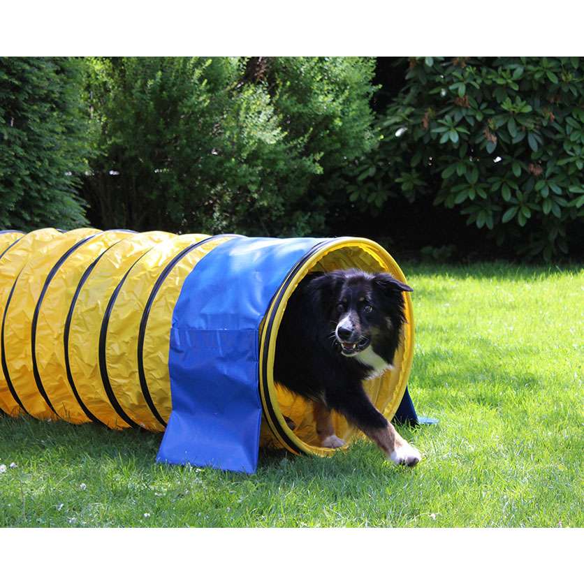 Dog Agility Profi Agility-Tunnel - 5m / 60 cm 