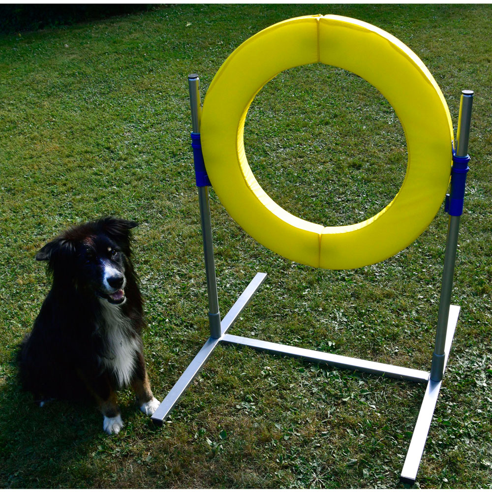 PROCYON Dog Agility Profi Sprungring FCI konform 