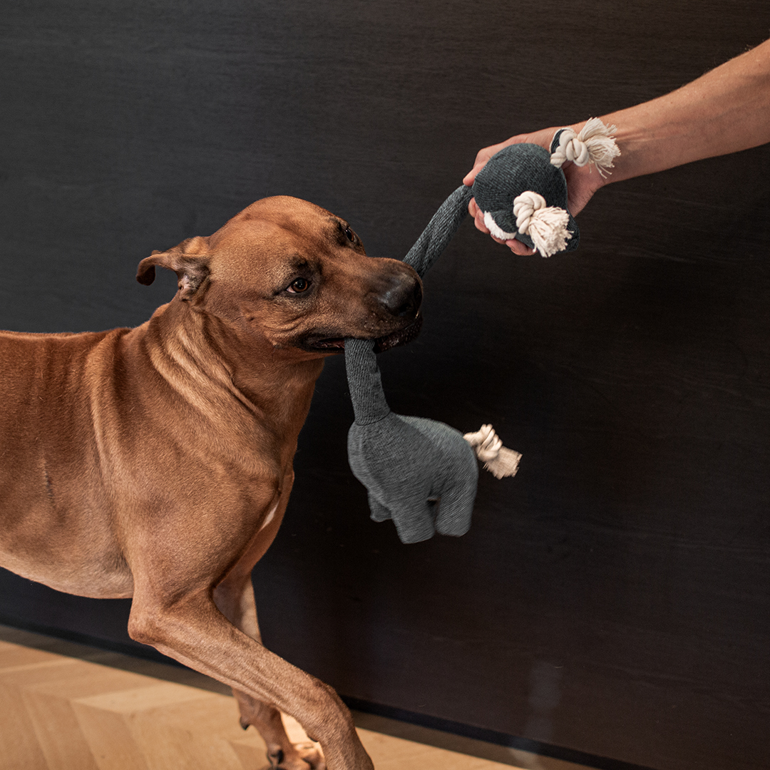 D&D Hundespielzeug Chenille George - blau 