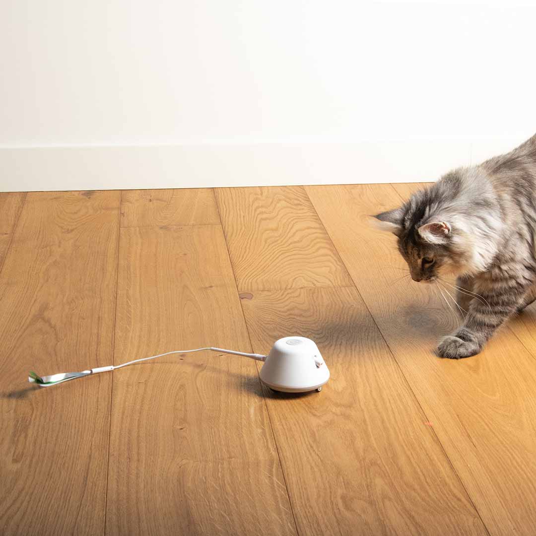 EBI Cat Toy Twisting Tank 