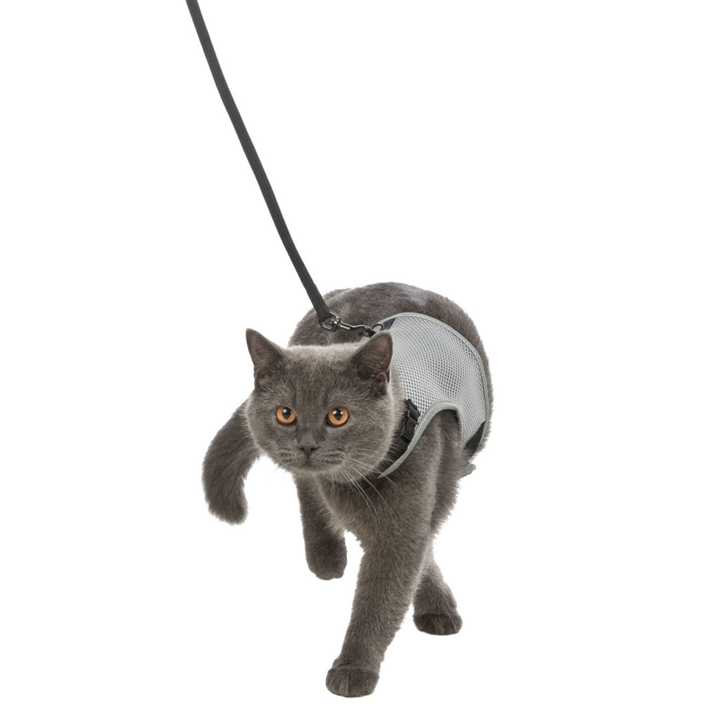 Trixie Katzen-Softgeschirr mit Leine 