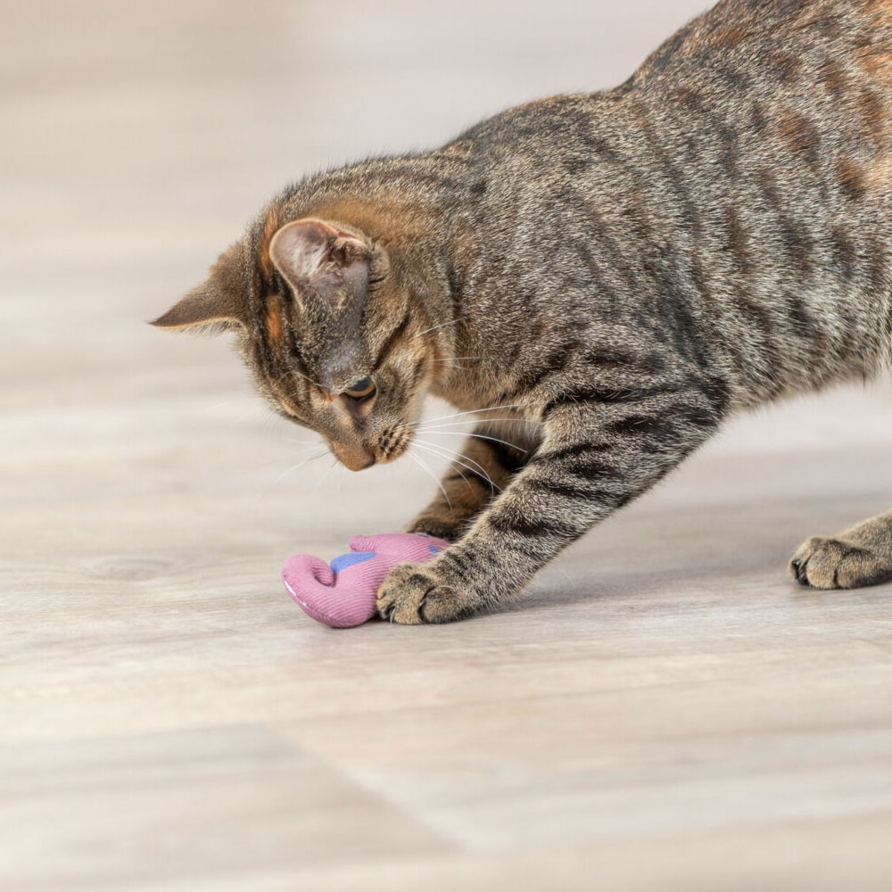 Trixie Katzenspielzeug Seepferdchen 