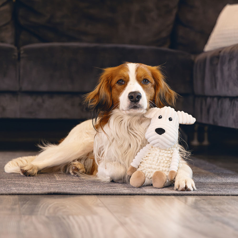 Beeztees Eco Hund Onne 
