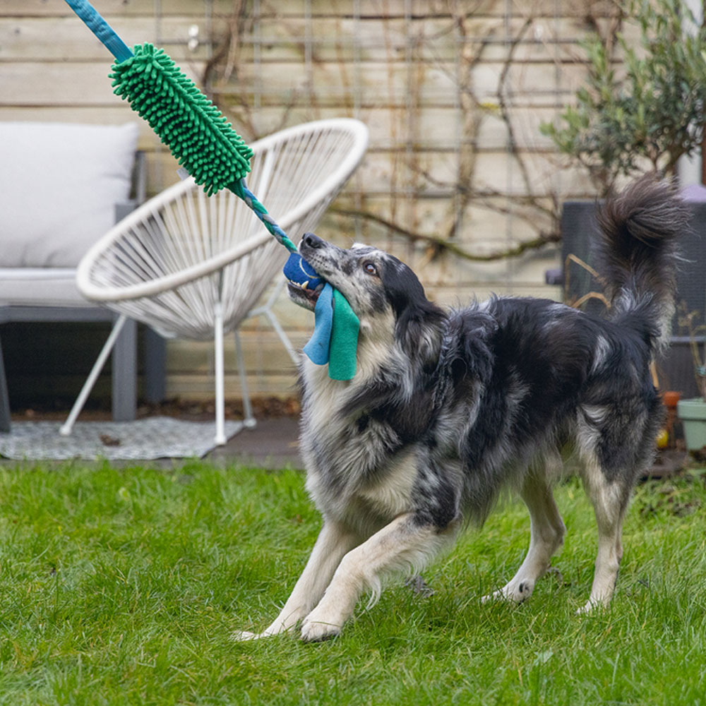 Beeztees Hundespielzeug Kino + Ball - 90 x 10 x 6 cm 