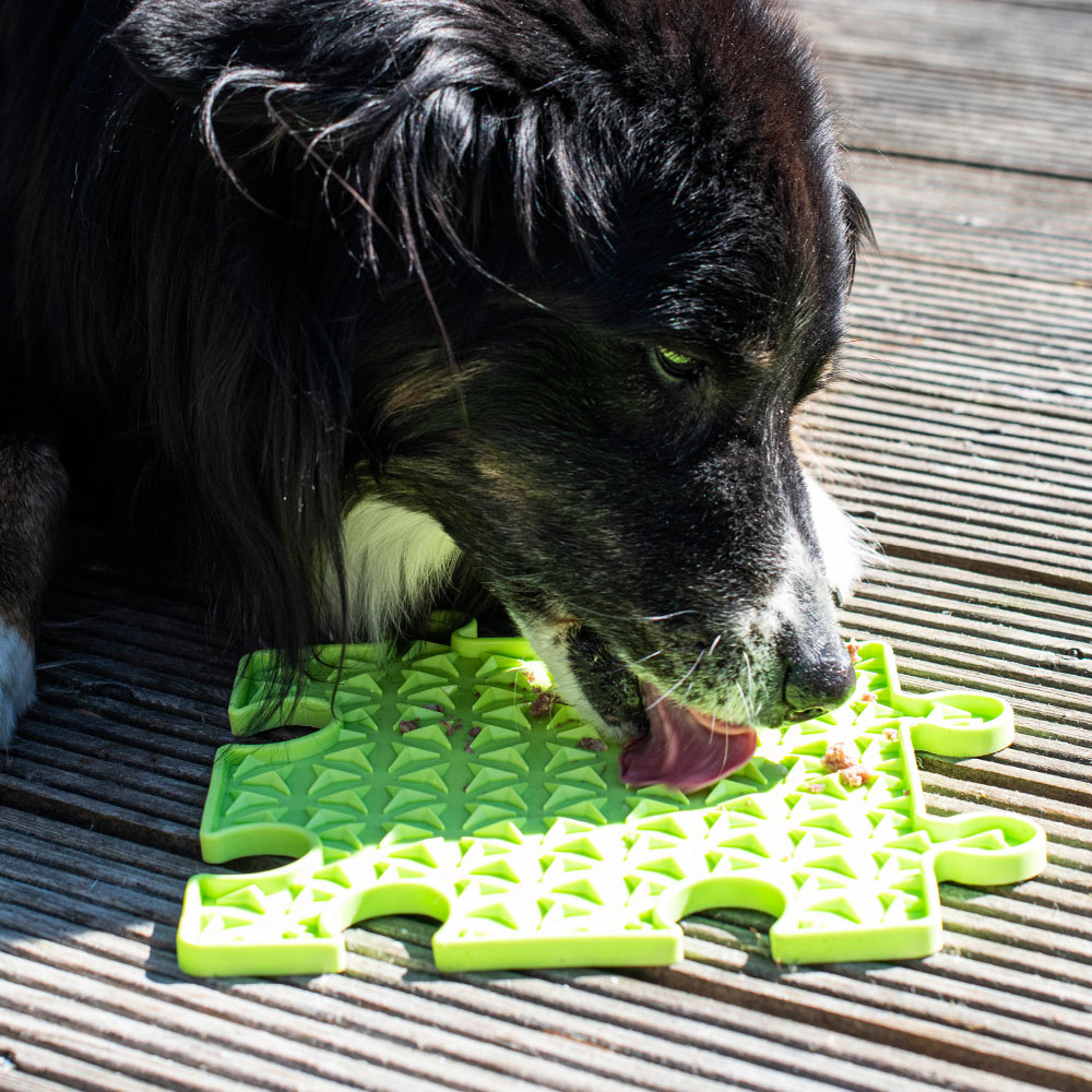 PROCYON Ladi Mat Schleckplatte Puzzle 
