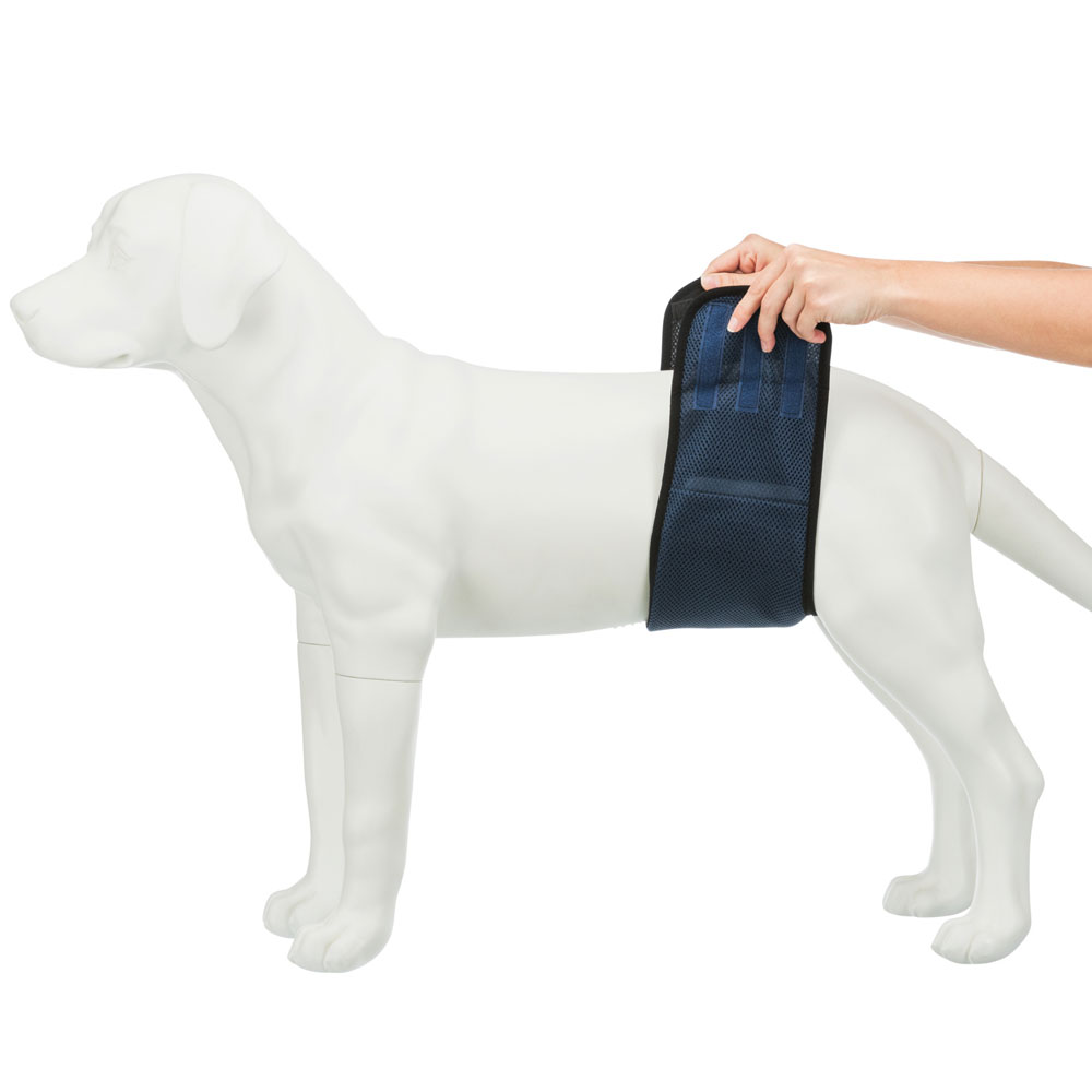 Trixie Windeln für Rüden, waschbar S / 29-37 cm