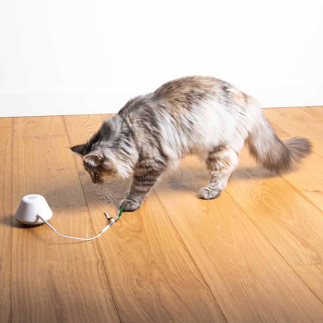 EBI Cat Toy Twisting Tank 