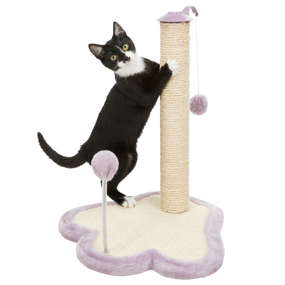 Trixie Junior Kratzpfote mit Stamm 