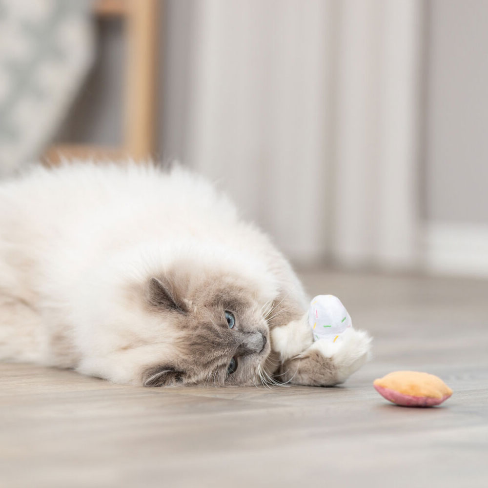 Trixie Katzenspielzeug Eis und Cupcake 