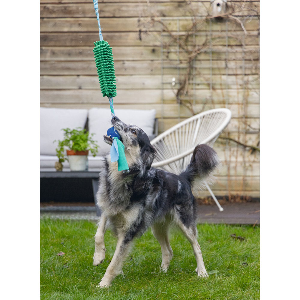 Beeztees Hundespielzeug Kino + Ball - 90 x 10 x 6 cm 