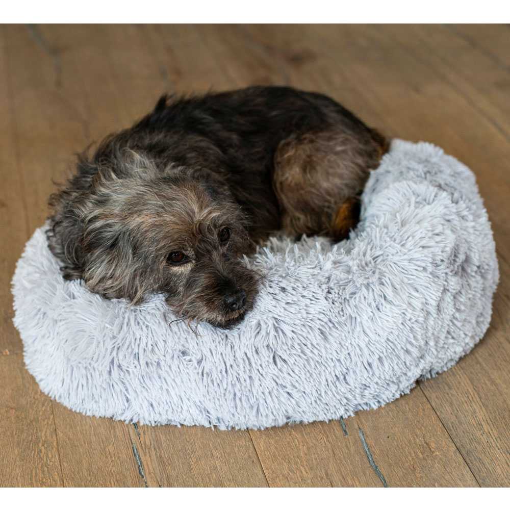 PROCYON Donut Bett - 60 cm 