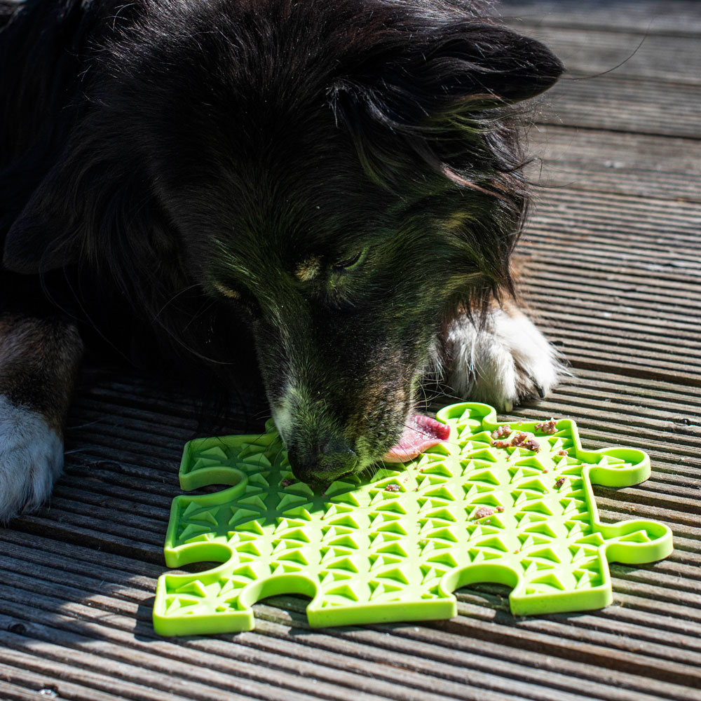 PROCYON Ladi Mat Schleckplatte Puzzle 