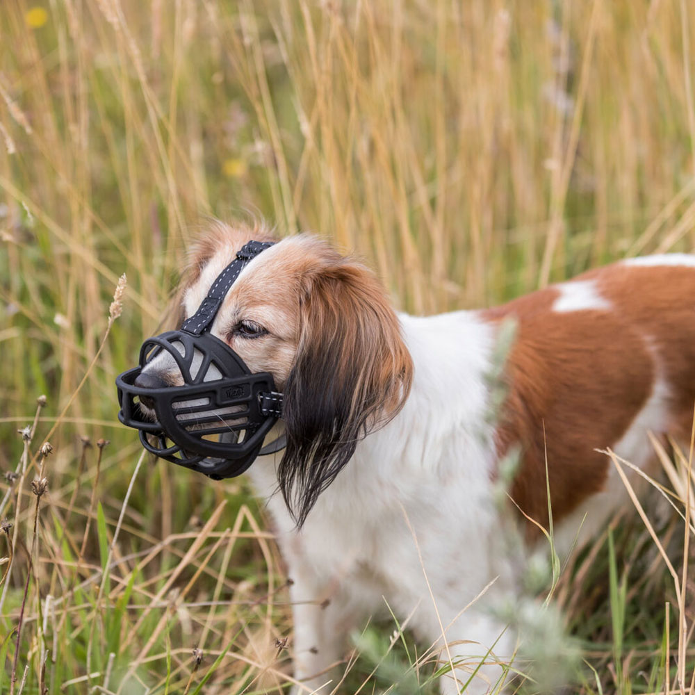 Trixie Maulkorb Muzzle Flex, Gummi L