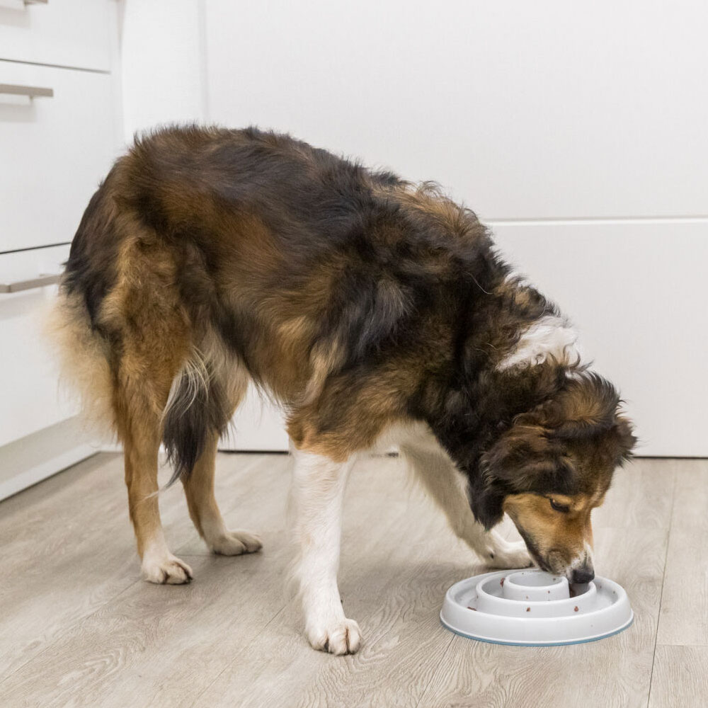 Trixie Slow Feeding Kunststoffnapf - 0,45 l 