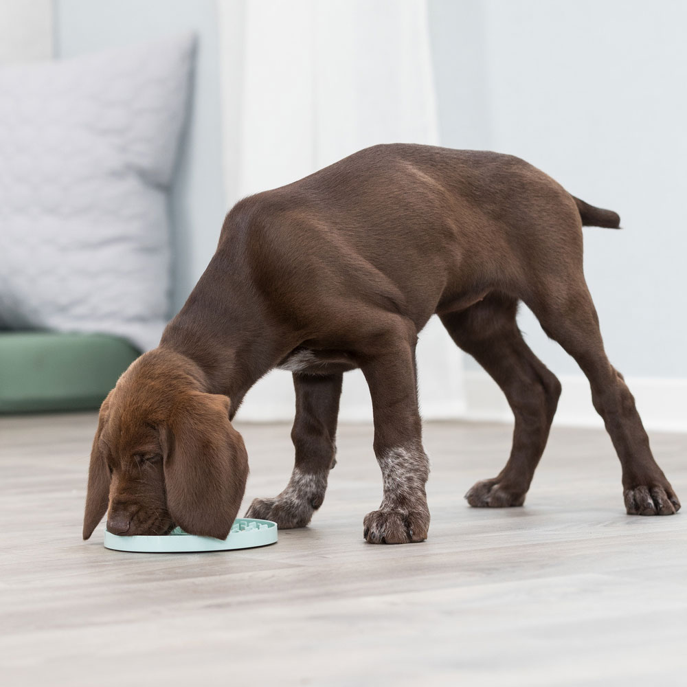 Trixie Junior Schleckplatte - 15 cm 