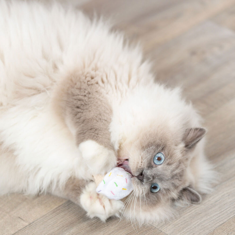 Trixie Katzenspielzeug Eis und Cupcake 