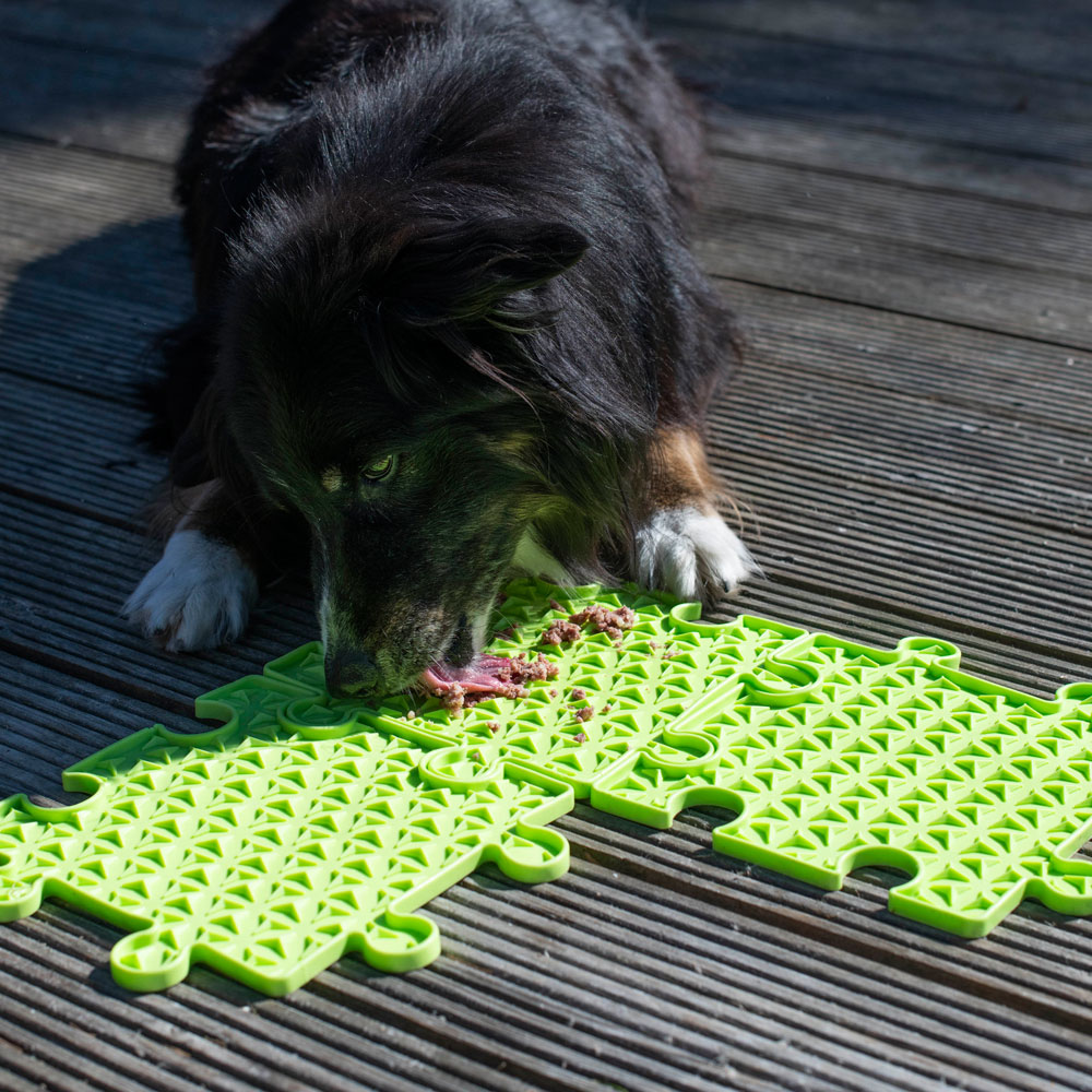 PROCYON Ladi Mat Schleckplatte Puzzle 