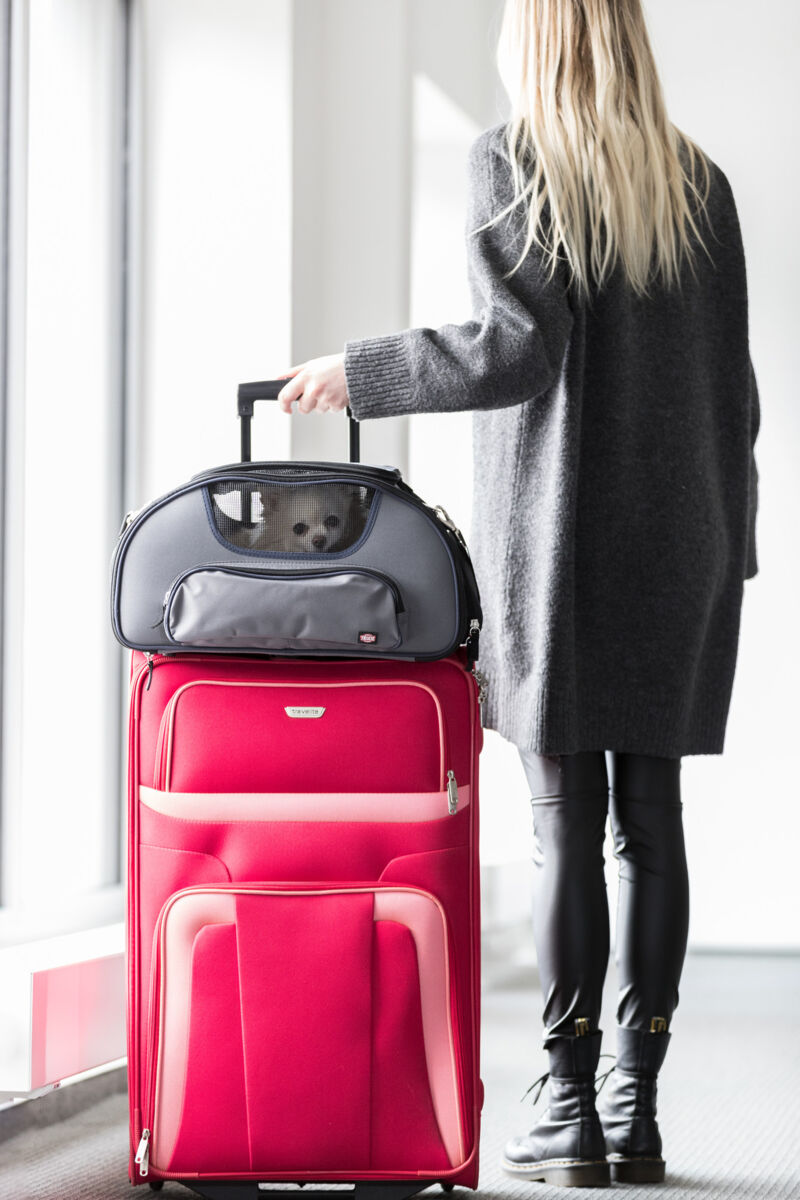 Trixie Airline Tasche Wings 