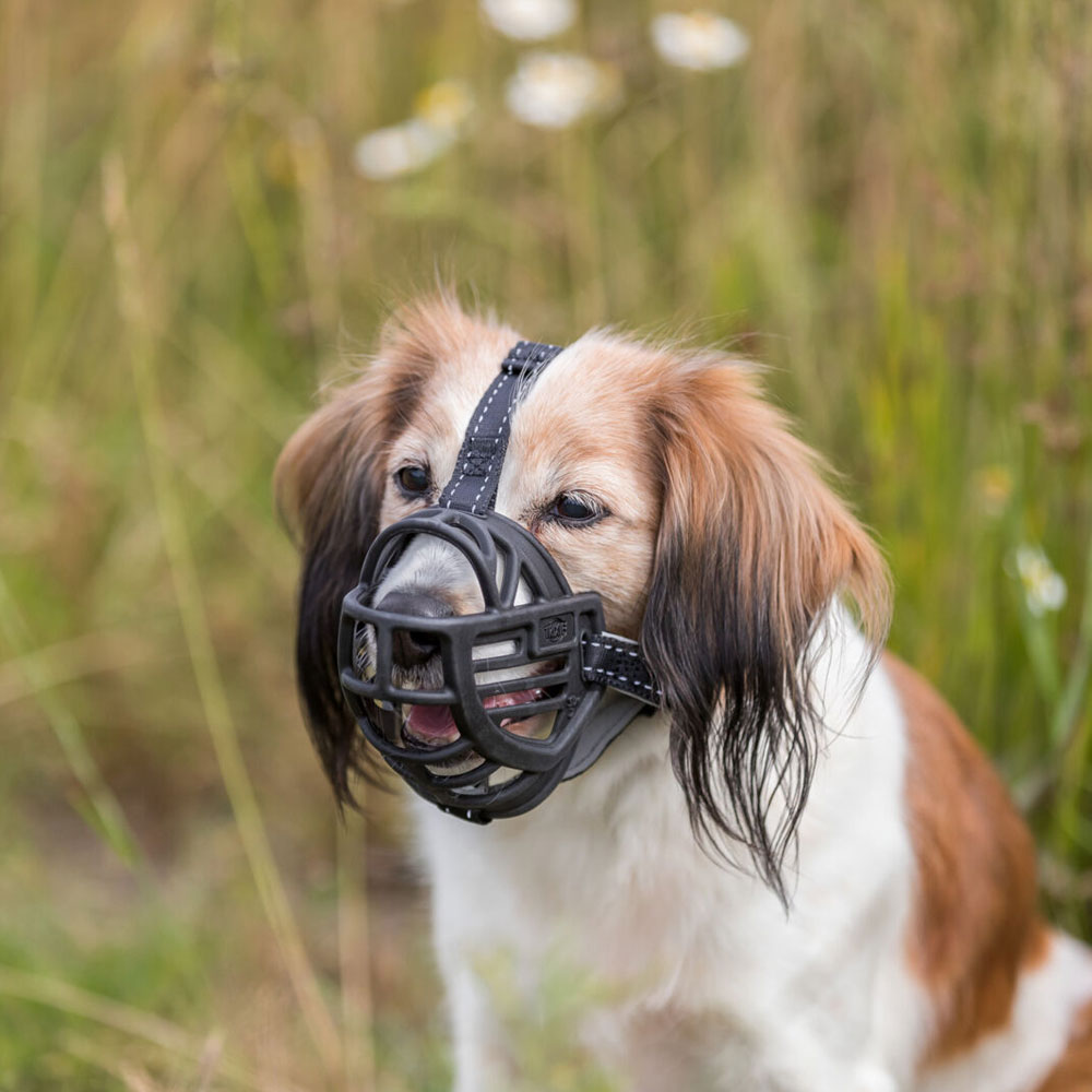 Trixie Maulkorb Muzzle Flex, Gummi L