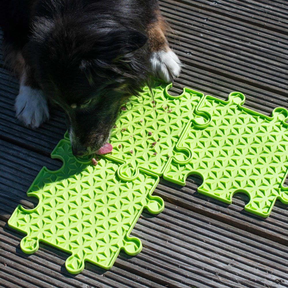 PROCYON Ladi Mat Schleckplatte Puzzle 